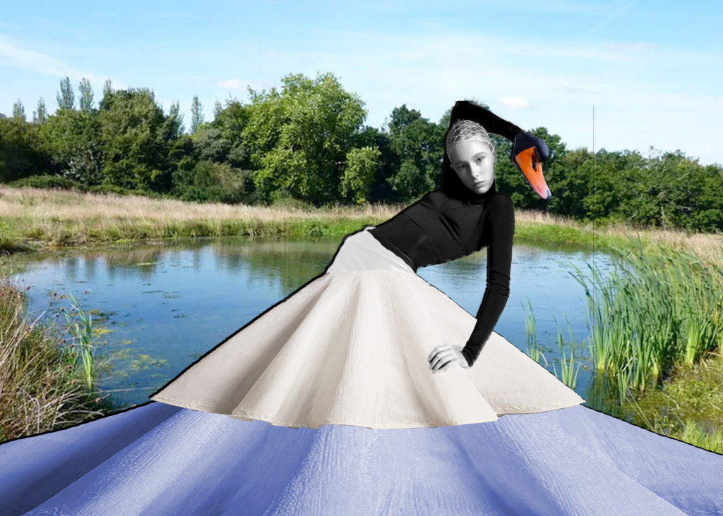 the swan