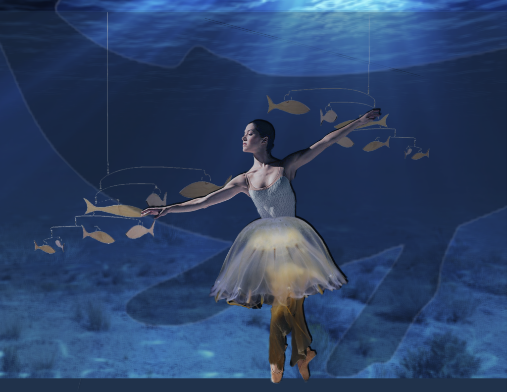the aquarium